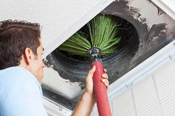 Air Duct Mold Removal